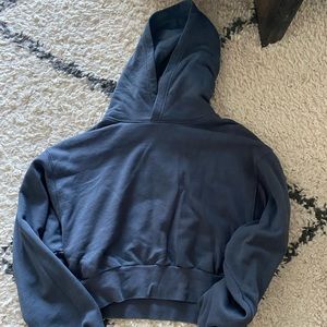 Aritzia Airy Fleece Shrunken Hoodie